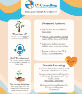 e3 Consulting December Newsletter
